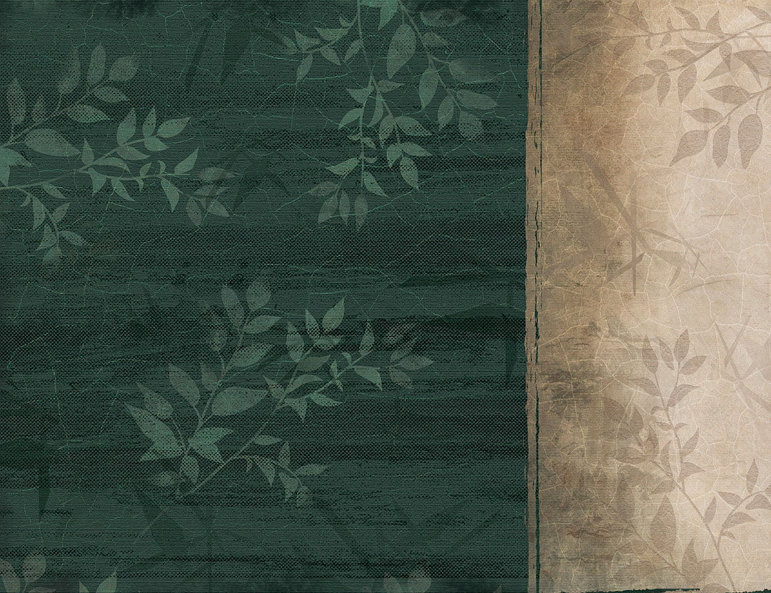 Asymmetry wall mural with leaves on green and beige textured background