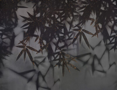 Dark palm leaves wall mural with a touch of gold