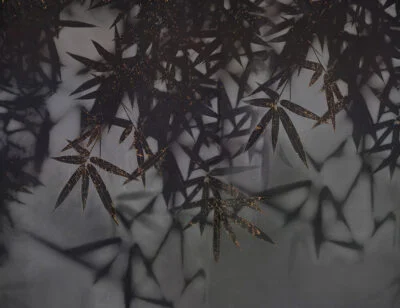 Dark palm leaves wall mural with a touch of gold