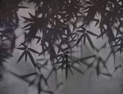 Dark palm leaves wall mural