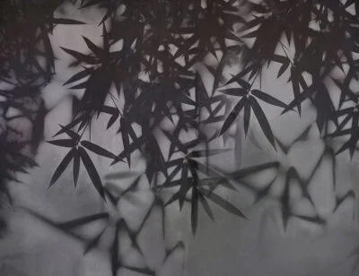 Dark palm leaves wall mural