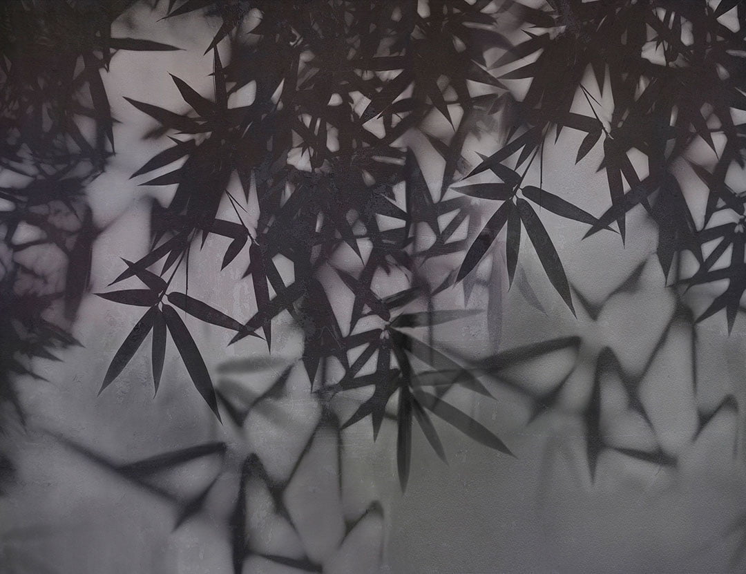Dark palm leaves wall mural