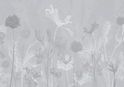Flower wall mural with outlines of flowers on a gray background