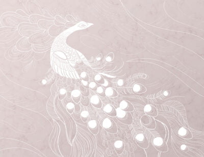 Designer wall mural with white peacock bird on the pink background