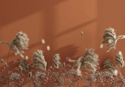 Pampas grass 3D wall mural on the orange background