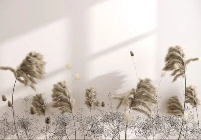 Pampas grass 3D wall mural on the milky background