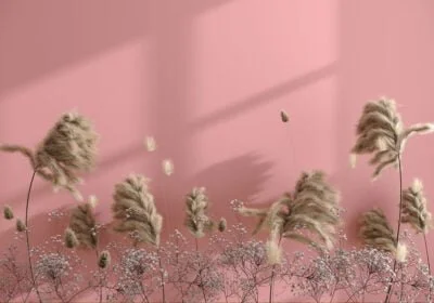 Pampas grass 3D wall mural on the pink background