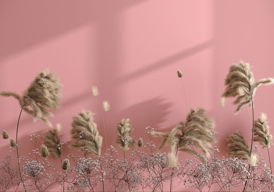 Pampas grass 3D wall mural on the pink background