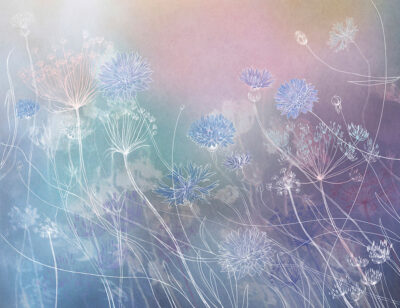 Watercolor wildflowers wall mural on the colorful background