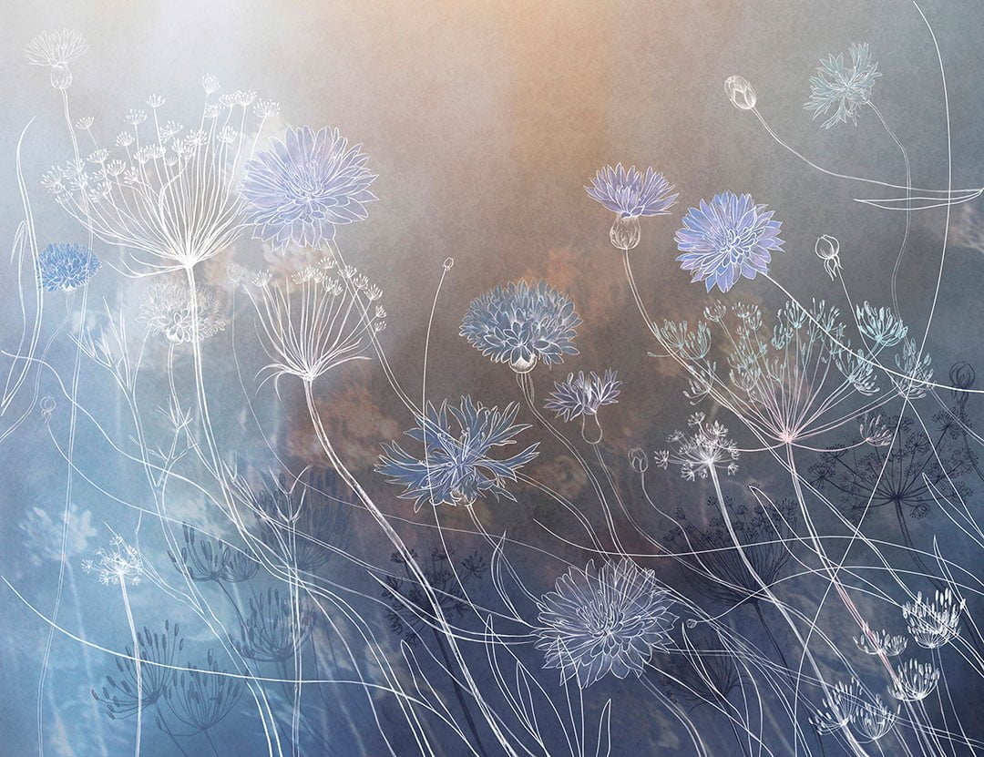Watercolor wildflowers wall mural on the dark background