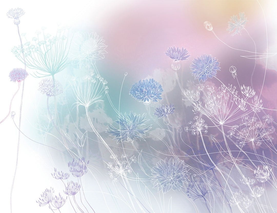 Watercolor wildflowers wall mural on the bright background