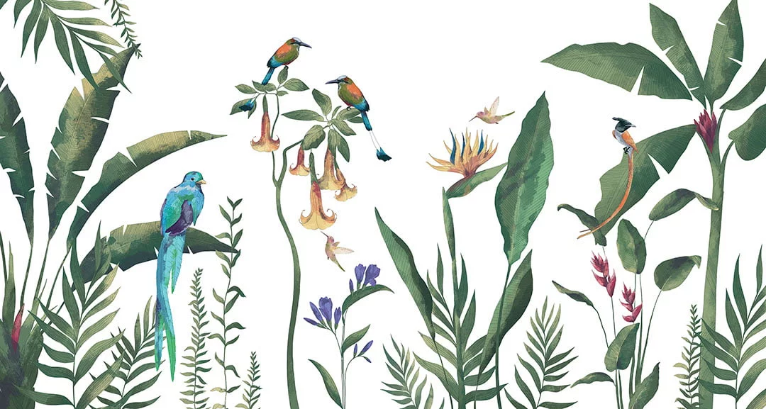 Minimalistic tropics wall mural with colorful birds