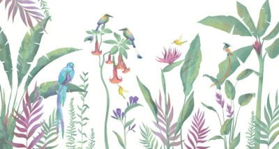 Minimalistic tropics wall mural with bright birds and plants