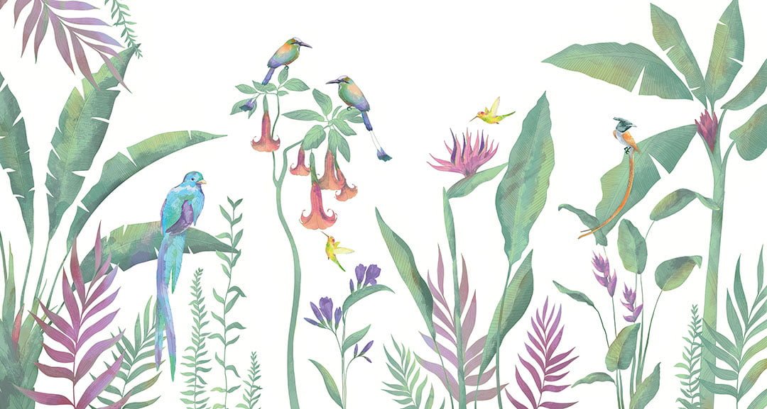 Minimalistic tropics wall mural with bright birds and plants