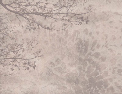 Shadow of a tree on the beige textured background wall mural