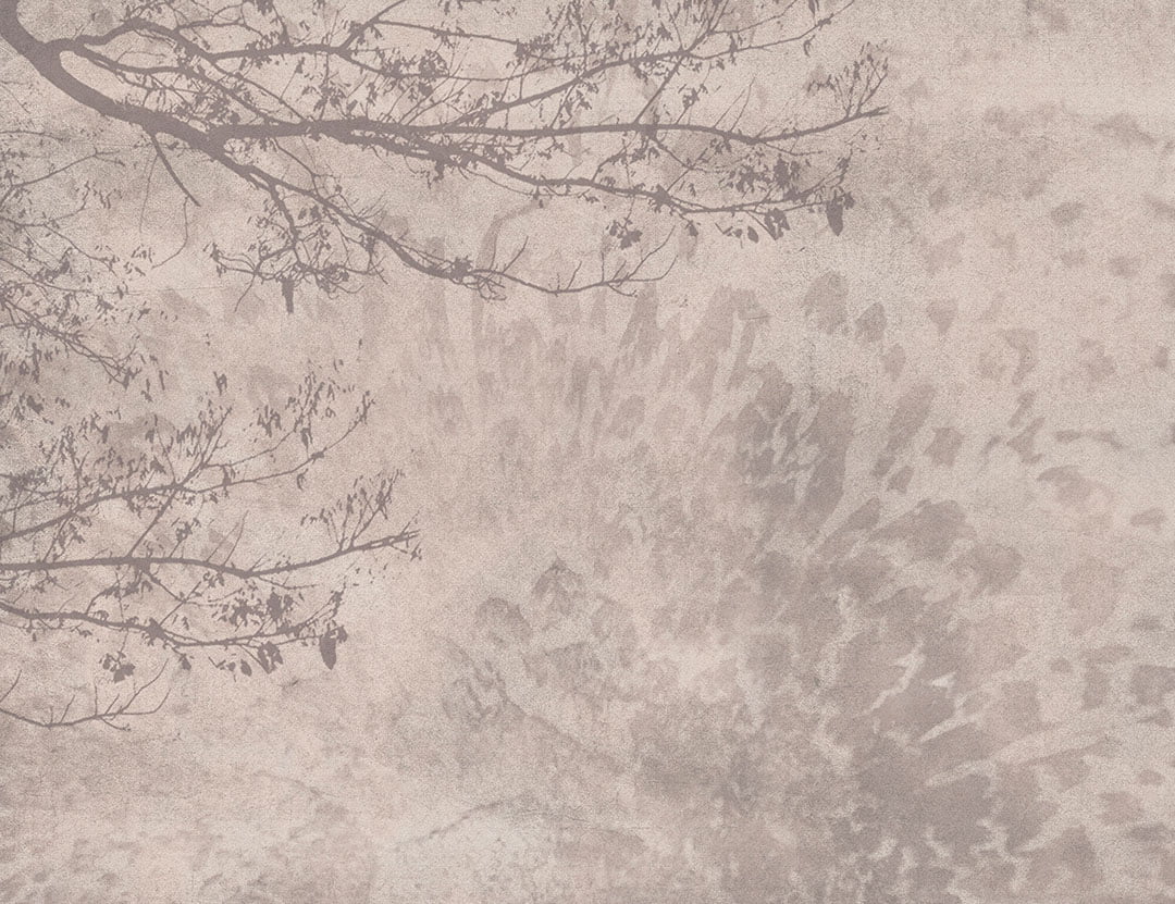 Shadow of a tree on the beige textured background wall mural