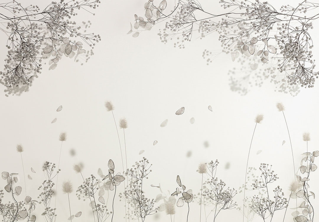 Delicate dried flowers on the white background 3D wall mural