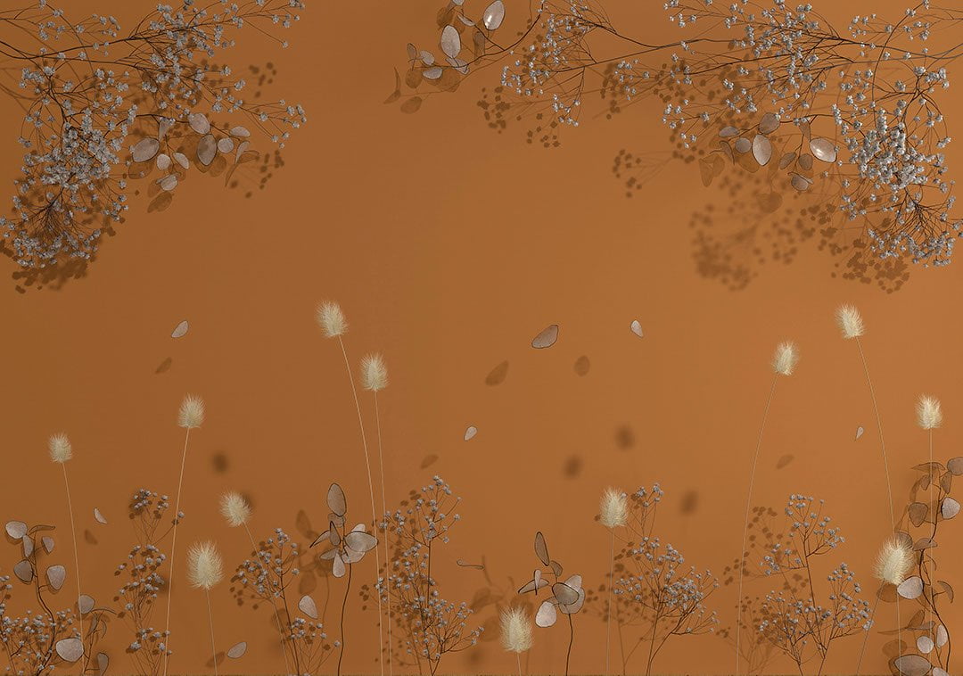 Delicate dried flowers on the orange background 3D wall mural