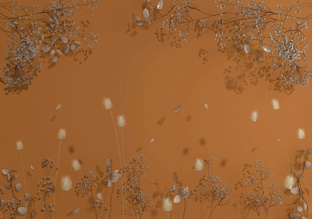Delicate dried flowers on the orange background 3D wall mural