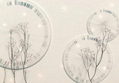 3D wall mural with delicate branches and geometric shapes in white tones