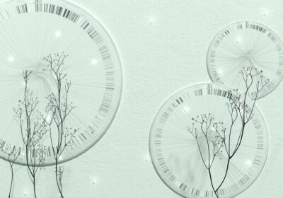 3D wall mural with delicate branches and geometric shapes in mint tones