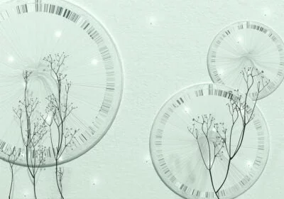 3D wall mural with delicate branches and geometric shapes in mint tones