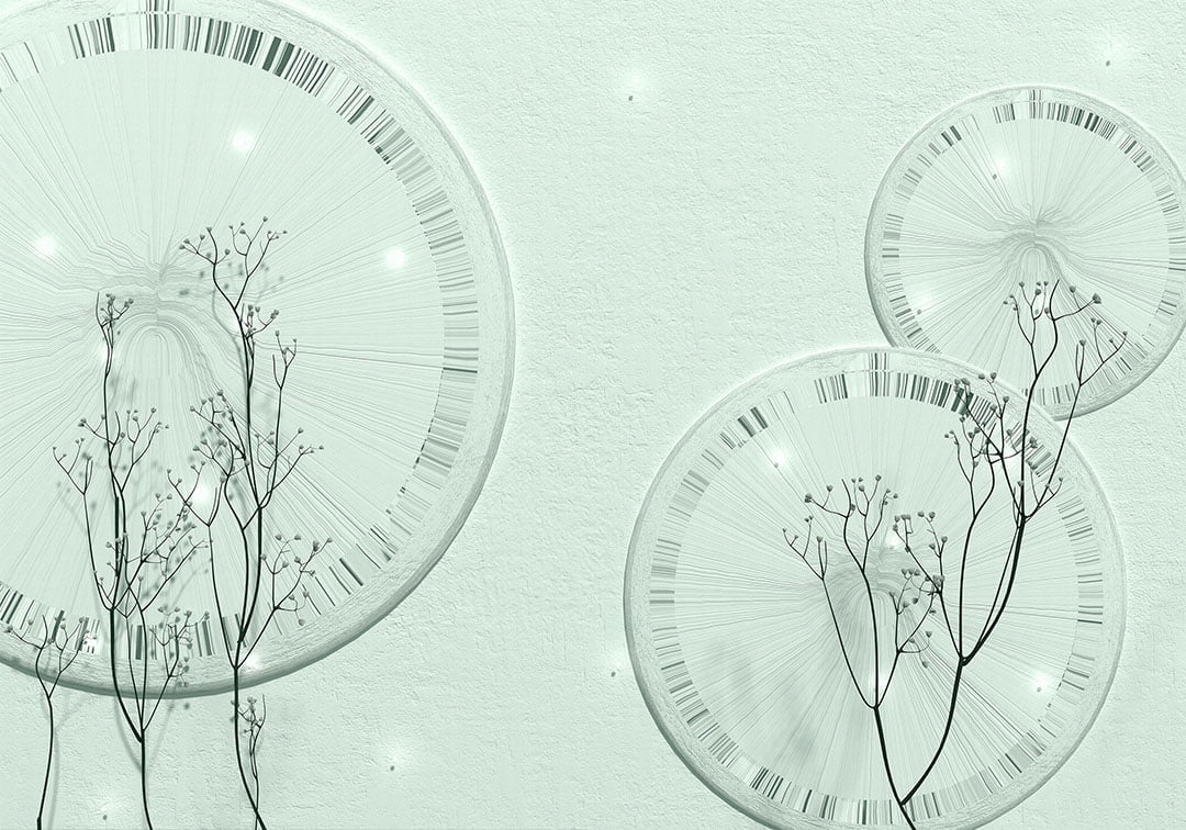 3D wall mural with delicate branches and geometric shapes in mint tones