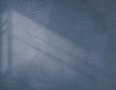 Tropical wall mural in blue color with shadow of monstera leaves