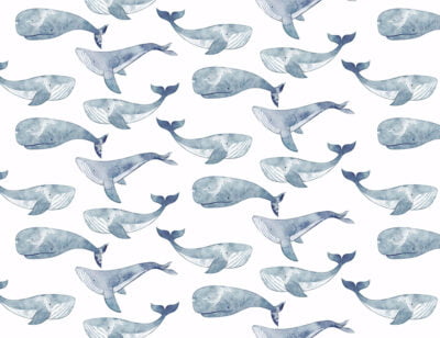 Delicate blue watercolor whales patterned kids wallpaper