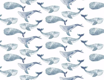 Delicate blue watercolor whales patterned kids wallpaper