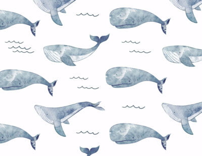 Big blue watercolor whales and waves patterned wallpaper