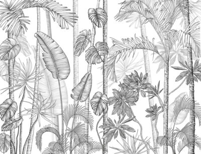 Minimalistic tropical wall mural in black and white graphic style