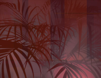Shadows of tropical leaves in red colors wall mural