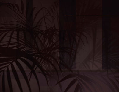 Tropical wall mural with shadows of leaves in burgundy colors