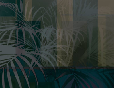 Shadows of tropical leaves in navy green colors wall mural