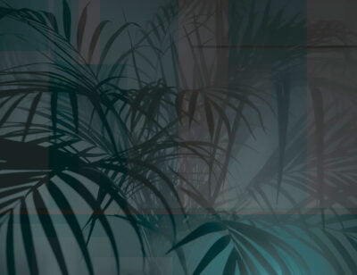 Designer wall mural with shadows of tropical leaves in green and purple colors