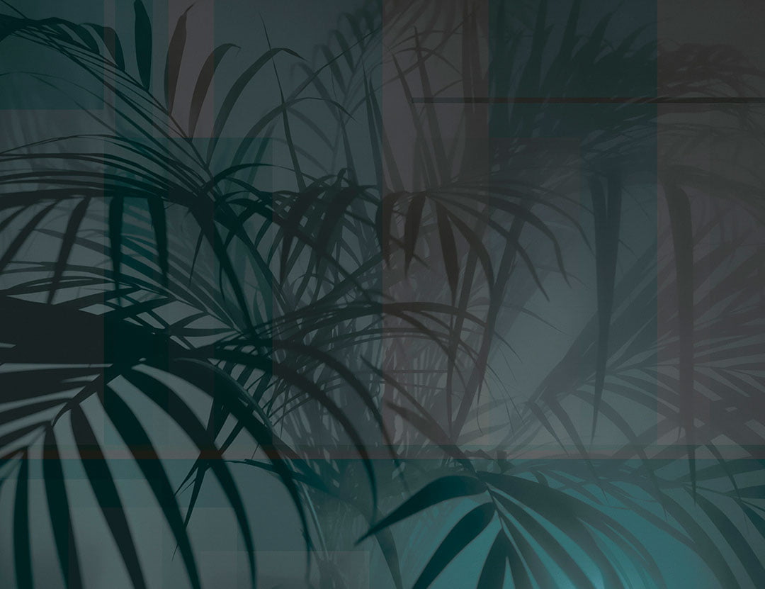 Designer wall mural with shadows of tropical leaves in green and purple colors