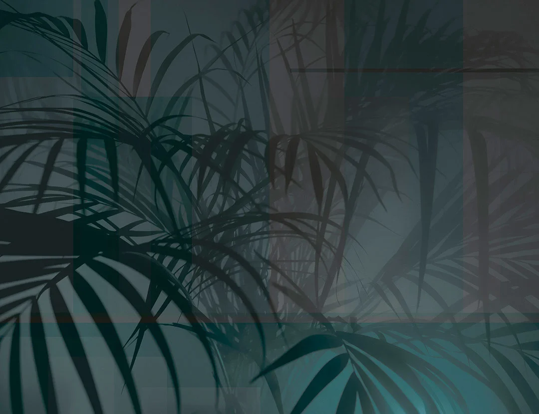 Designer wall mural with shadows of tropical leaves in green and purple colors