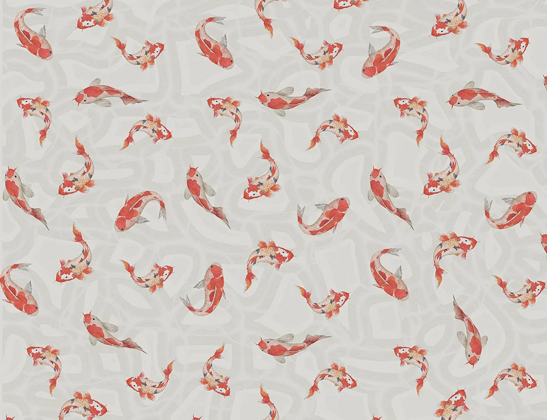Red Japanese koi carp at the gray background patterned wallpaper