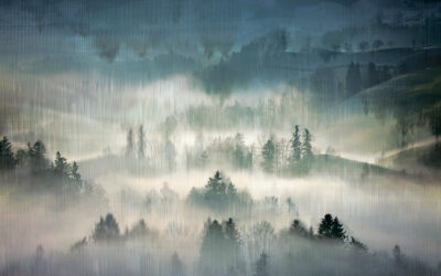 Watercolor gradient misty forest wall mural