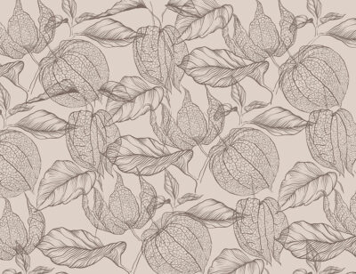 Tender brown physalis flowers wallpaper