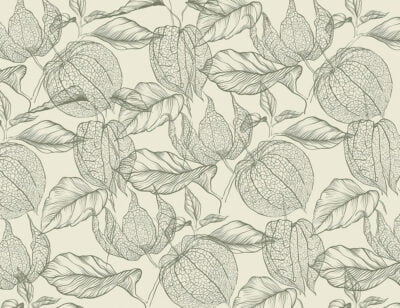Tender green physalis flowers wallpaper