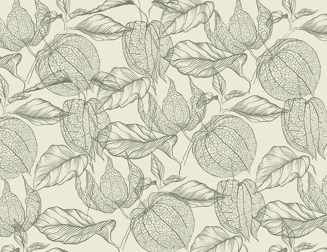 Tender green physalis flowers wallpaper