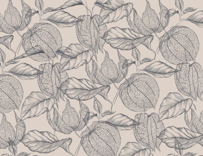 Tender purple physalis flowers wallpaper