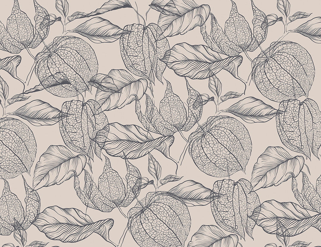Tender purple physalis flowers wallpaper