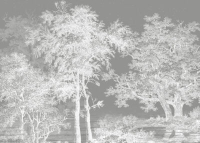 White illustrated forest on the gray sky wall mural