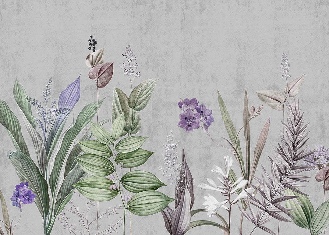 Nature wall mural with tender plants on the gray background