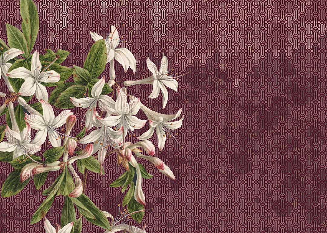 Large lily flowers wall mural on the red patterned background in art-deco style