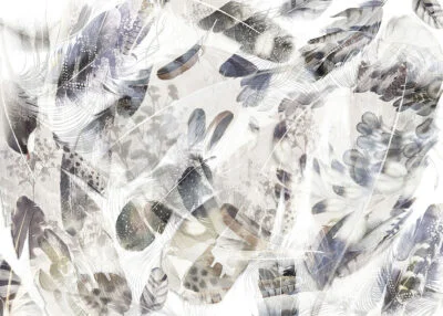 Modern wall mural with light abstract feathers and shadows