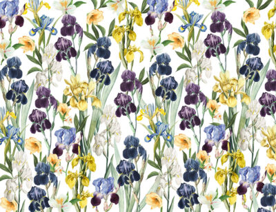 Colorful irises floral patterned wallpaper